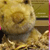 Northern Oak Capital Managament Inc direct mailer